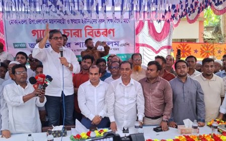 স্থানীয় সরকার নির্বাচন শুরু কবে, জানালেন প্রতিমন্ত্রী