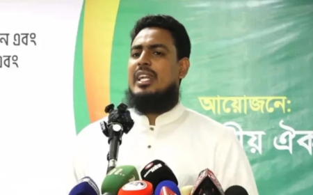জুলাই নিয়ে কটূক্তিকারীদের বিচার করতে হবে: আখতার হোসেন