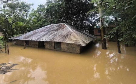 অতিবৃষ্টি ও পাহাড়ি ঢলে ৭ জেলায় বন্যা, প্রাণহানি বেড়ে ৪৪
