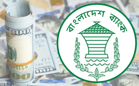 দেশে বৈদেশিক মুদ্রার রিজার্ভ বেড়ে ৩৬.৫৮ বিলিয়ন ডলার