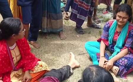 ময়মনসিংহে সড়ক দুর্ঘটনায় দুই নারীসহ নিহত ৩