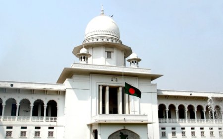২৬ টুথপেস্টে মাইক্রোপ্লাস্টিক: তদন্ত চেয়ে হাইকোর্টে রিট