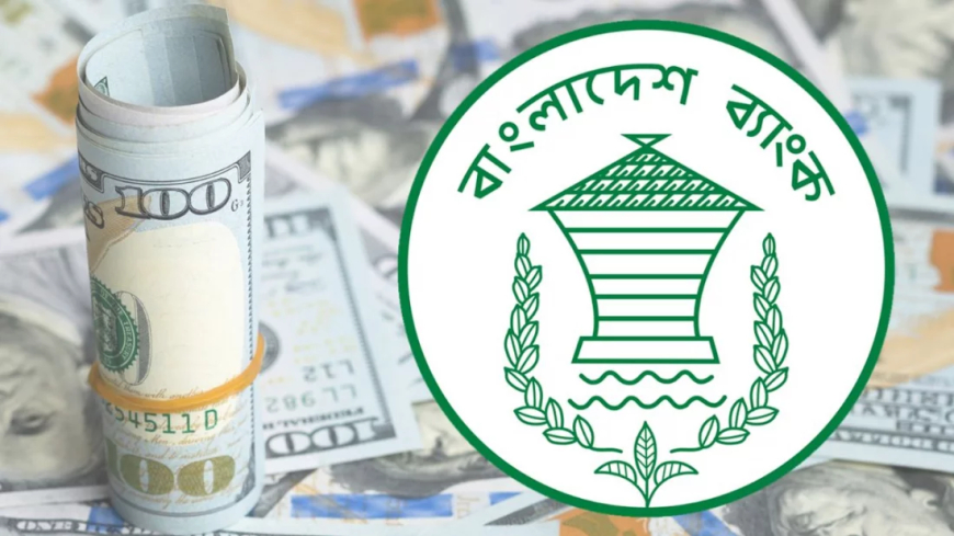 দেশে বৈদেশিক মুদ্রার রিজার্ভ বেড়ে ৩৬.৫৮ বিলিয়ন ডলার